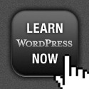 Digging Into WordPress Book